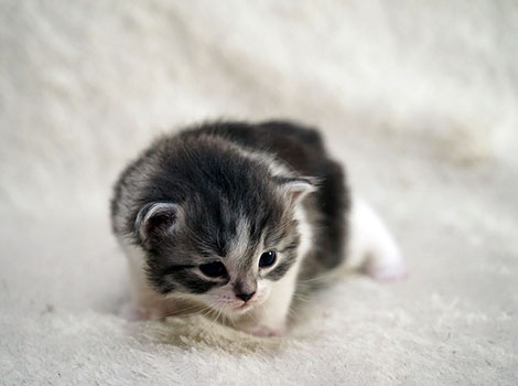 Narvik am 08.03.2025